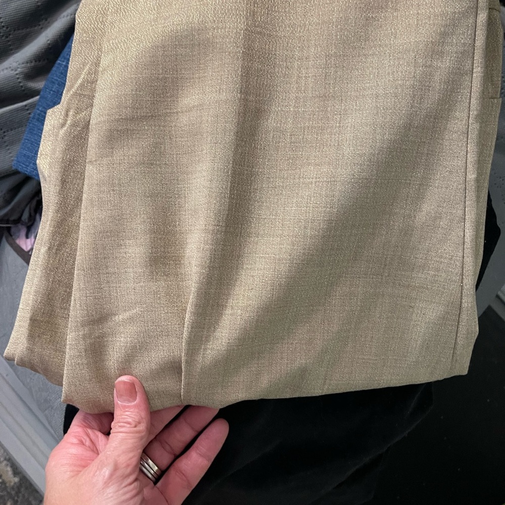 Tan with gold sparkle express pants